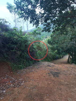 Imagem Terreno à Venda, 800 m² em Bonete - Ilhabela Imagem Terreno à Venda, 800 m² em Bonete - Ilhabela