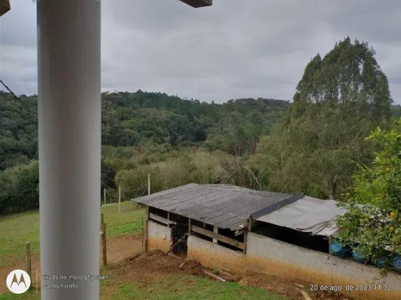 Imagem Imóvel com 4 Quartos à Venda, 22.000 m² em Areia Branca Dos Assis - Mandirituba