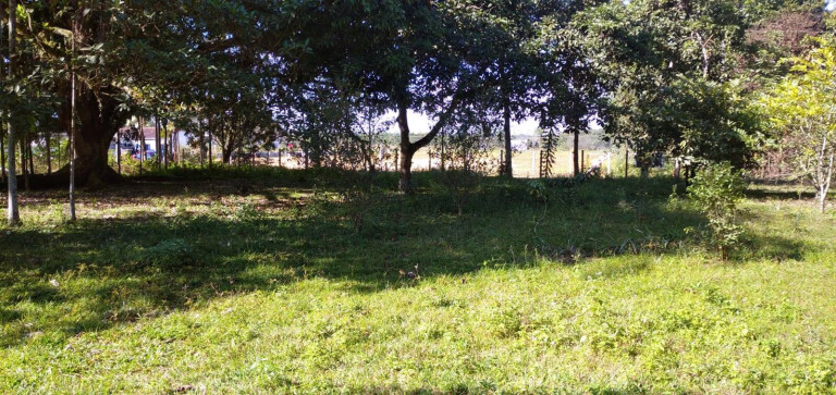 Imagem Terreno à Venda, 39 m² em Volta Redonda - Araquari Imagem Terreno à Venda, 39 m² em Volta Redonda - Araquari