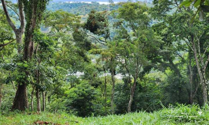 Imagem Terreno à Venda, 2.525 m² em Residencial Aldeia Do Vale - Goiânia Imagem Terreno à Venda, 2.525 m² em Residencial Aldeia Do Vale - Goiânia