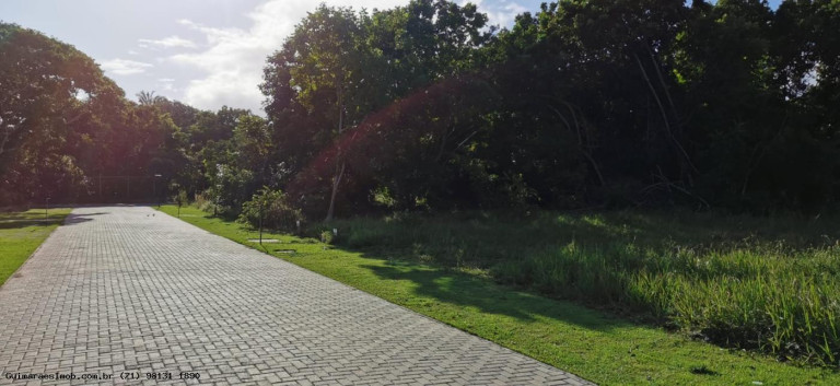Imagem Terreno à Venda, 600 m² em Praia Do Forte - Mata De São João Imagem Terreno à Venda, 600 m² em Praia Do Forte - Mata De São João