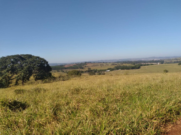 Imagem Fazenda à Venda, 1.234.200 m² em Zona Rural - Angatuba Imagem Fazenda à Venda, 1.234.200 m² em Zona Rural - Angatuba