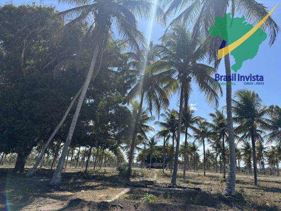Imagem Terreno à Venda, em Centro Coroa Vermelha - Santa Cruz Cabrália Imagem Terreno à Venda, em Centro Coroa Vermelha - Santa Cruz Cabrália