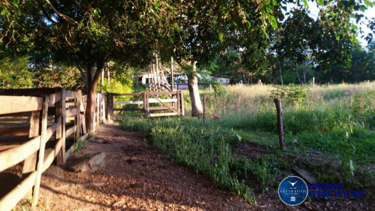 Imagem Chácara à Venda, 5 m² em Zona Rural - Santa Cruz De Goiás Imagem Chácara à Venda, 5 m² em Zona Rural - Santa Cruz De Goiás
