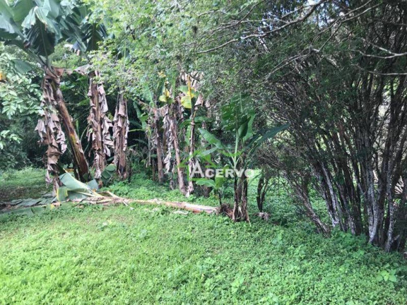 Imagem Casa com 7 Quartos à Venda, 4.000 m² em Centro - Matias Barbosa Imagem Casa com 7 Quartos à Venda, 4.000 m² em Centro - Matias Barbosa