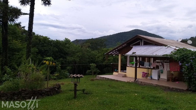 Imagem Chácara com 2 Quartos à Venda, 90.000 m² em Moreira - Gramado
