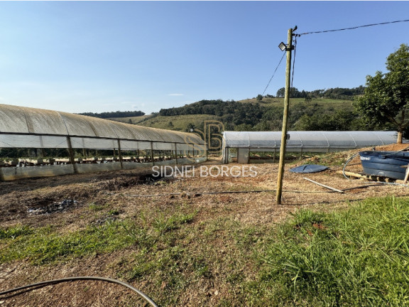 Imagem Imóvel à Venda, 200 m² em Kenedy - Concórdia Imagem Imóvel à Venda, 200 m² em Kenedy - Concórdia