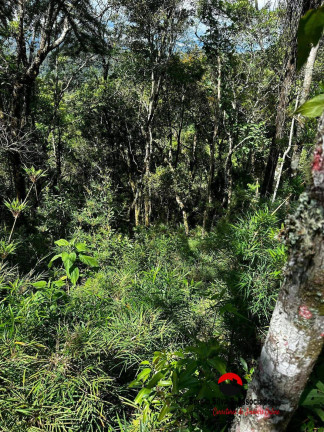 Imagem Terreno à Venda, 1 m² em Campos Do Jordão Imagem Terreno à Venda, 1 m² em Campos Do Jordão