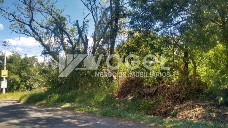 Imagem Imóvel à Venda, 453 m² em Campestre - Sao Leopoldo Imagem Imóvel à Venda, 453 m² em Campestre - Sao Leopoldo