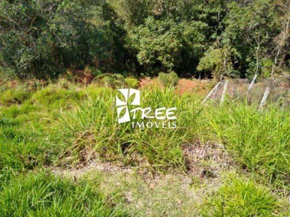 Imagem Imóvel com 3 Quartos à Venda, 160 m² em Chácaras Vista Alegre - Arujá