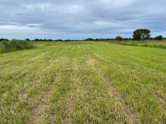Imagem Imóvel com 3 Quartos à Venda, 100.532 m² em Mato Grosso - Novo Santo Antônio Imagem Imóvel com 3 Quartos à Venda, 100.532 m² em Mato Grosso - Novo Santo Antônio
