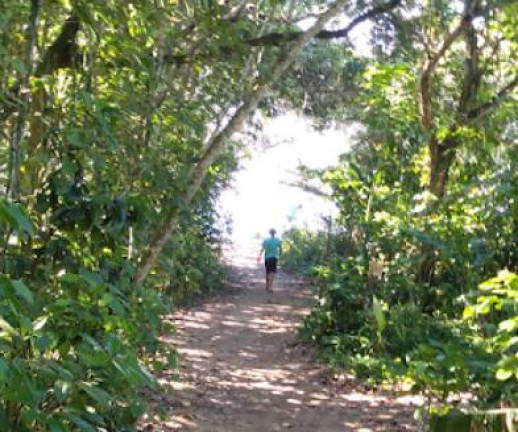Imagem Terreno à Venda, 721 m² em Praia Vermelha Do Centro - Ubatuba Imagem Terreno à Venda, 721 m² em Praia Vermelha Do Centro - Ubatuba