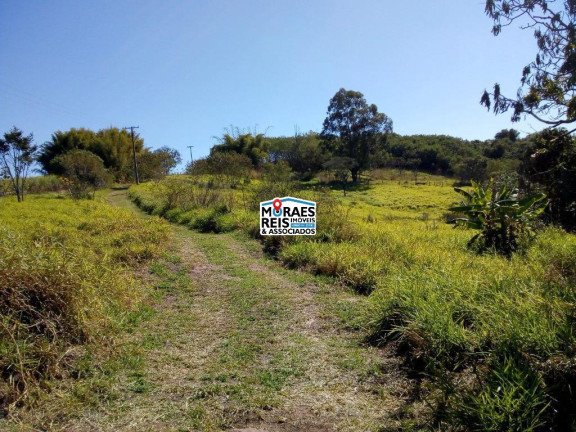 Imagem Fazenda à Venda, 222.000 m² em Vila Independência - Piracicaba