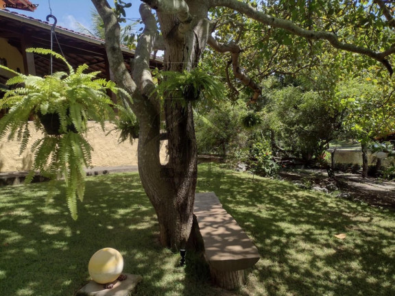 Imagem Casa com 4 Quartos à Venda, 900 m² em Jauá (abrantes) - Camaçari Imagem Casa com 4 Quartos à Venda, 900 m² em Jauá (abrantes) - Camaçari