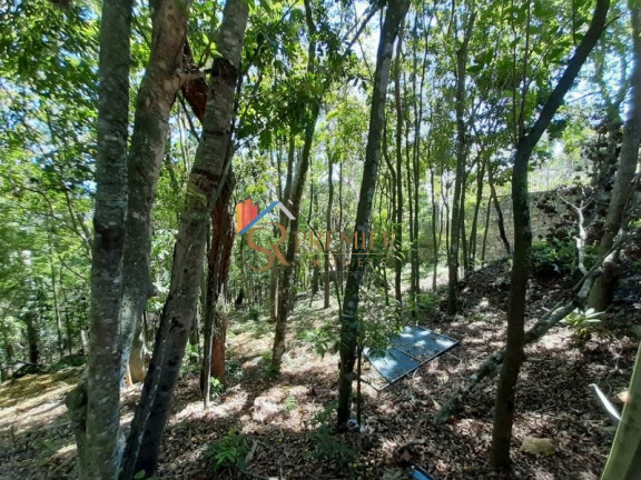 Imagem Imóvel à Venda, 399 m² em Lagoa Da Conceição - Florianópolis Imagem Imóvel à Venda, 399 m² em Lagoa Da Conceição - Florianópolis