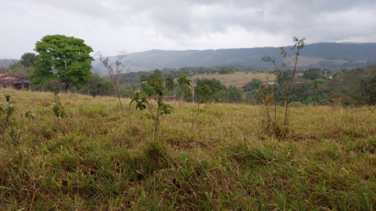 Imagem Terreno à Venda, 9.200 m² em Centro - Extrema Imagem Terreno à Venda, 9.200 m² em Centro - Extrema