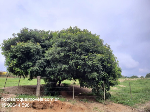 Imagem Imóvel com 1 Quarto à Venda, 10.400 m² em Faxinal - Angatuba Imagem Imóvel com 1 Quarto à Venda, 10.400 m² em Faxinal - Angatuba