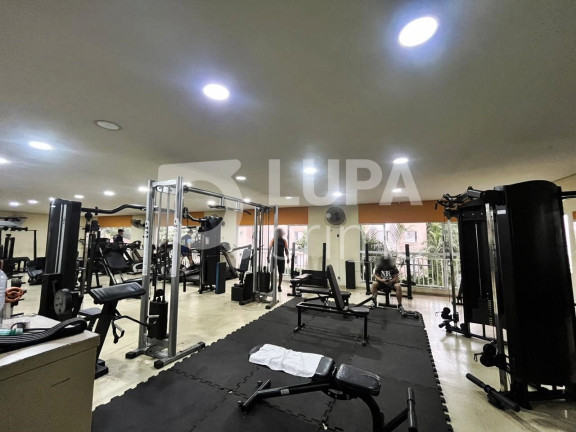 Imagem Apartamento com 2 Quartos para Alugar, 45 m² em Ponte Grande - Guarulhos Imagem Apartamento com 2 Quartos para Alugar, 45 m² em Ponte Grande - Guarulhos