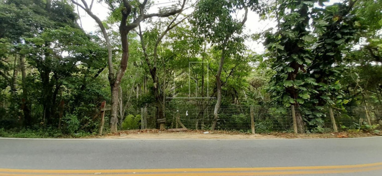 Imagem Terreno à Venda, 4.163 m² em Vargem Grande - Florianópolis Imagem Terreno à Venda, 4.163 m² em Vargem Grande - Florianópolis
