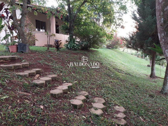 Imagem Imóvel com 3 Quartos à Venda, 1.700 m² em Itapeva - Itapeva Imagem Imóvel com 3 Quartos à Venda, 1.700 m² em Itapeva - Itapeva