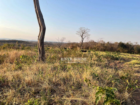 Imagem Fazenda à Venda, 250 m² em Zona Rural - Nossa Senhora Do Livramento Imagem Fazenda à Venda, 250 m² em Zona Rural - Nossa Senhora Do Livramento