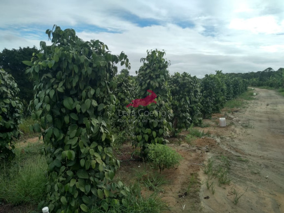Imagem Fazenda à Venda, 600 m² em Caraíva - Porto Seguro Imagem Fazenda à Venda, 600 m² em Caraíva - Porto Seguro