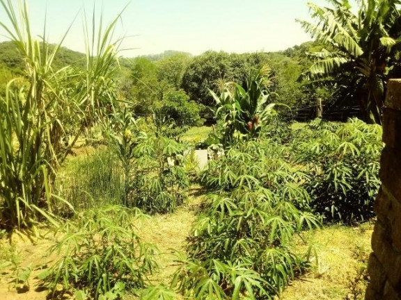 Imagem Imóvel com 2 Quartos à Venda, 99 m² em Fazenda Fialho - Taquara Imagem Imóvel com 2 Quartos à Venda, 99 m² em Fazenda Fialho - Taquara