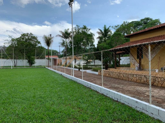 Imagem Imóvel com 3 Quartos à Venda, 5.000 m² em Jardim José Figueira - Ribeirão Preto
