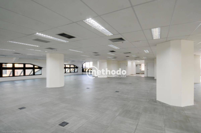 Imagem Sala Comercial para Alugar, 481 m² em Nova Campinas - Campinas Imagem Sala Comercial para Alugar, 481 m² em Nova Campinas - Campinas