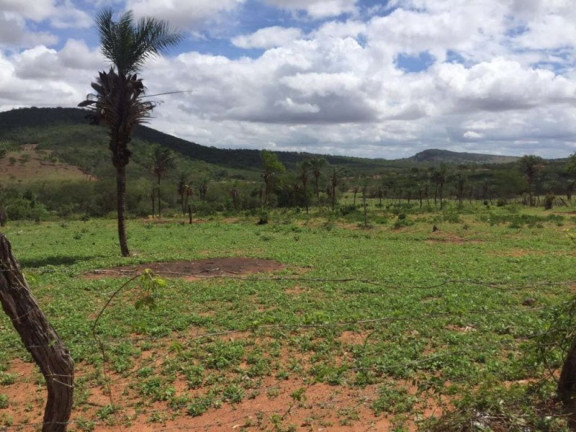 Imagem Fazenda à Venda, 200 m² em Br 116 - Euclides Da Cunha Imagem Fazenda à Venda, 200 m² em Br 116 - Euclides Da Cunha