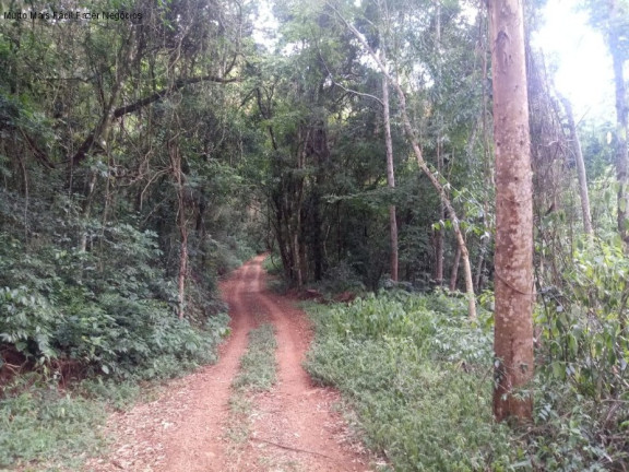 Imagem Terreno à Venda, 8 m² em Germânia - Nova Petrópolis