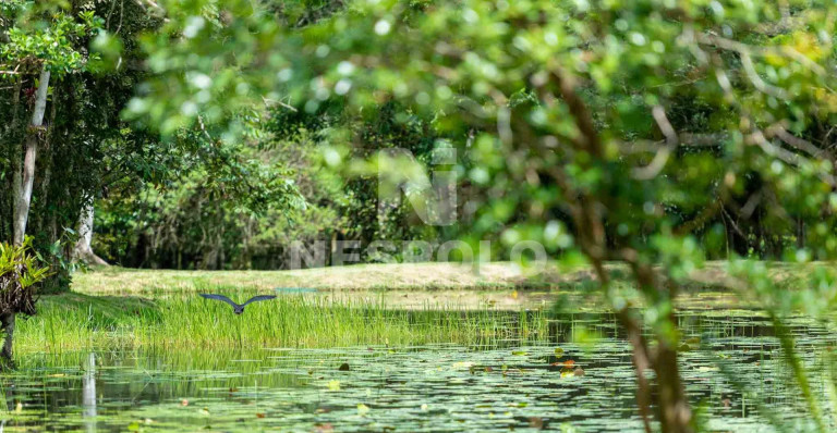 Imagem Terreno à Venda, em Rio Do Meio - Camboriu Imagem Terreno à Venda, em Rio Do Meio - Camboriu