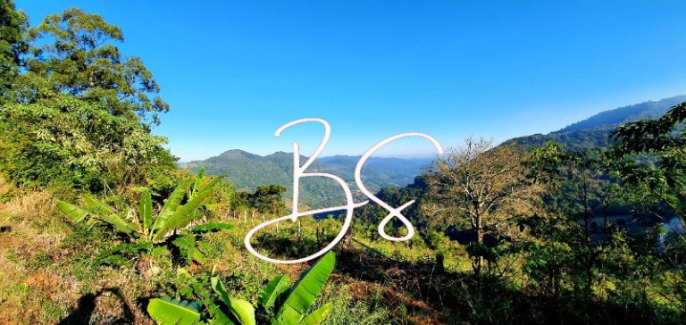 Imagem Imóvel com 1 Quarto à Venda, em Br116 - Nova Petrópolis Imagem Imóvel com 1 Quarto à Venda, em Br116 - Nova Petrópolis