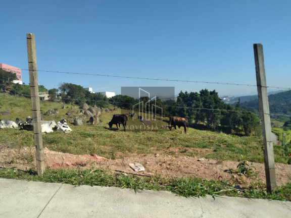 Imagem Terreno à Venda, 20.000 m² em Alphaville - Santana De Parnaíba Imagem Terreno à Venda, 20.000 m² em Alphaville - Santana De Parnaíba