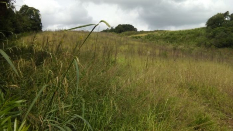 Imagem Terreno à Venda, 37.458 m² em Campo Magro - Campo Magro Imagem Terreno à Venda, 37.458 m² em Campo Magro - Campo Magro