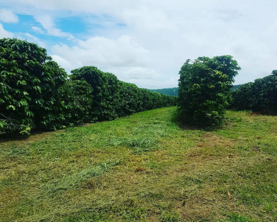 Imagem Imóvel à Venda, em Bragança Paulista - Bragança Paulista Imagem Imóvel à Venda, em Bragança Paulista - Bragança Paulista