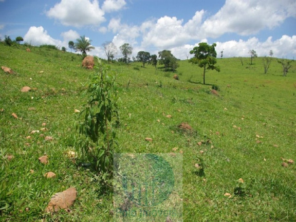 Imagem Imóvel com 4 Quartos à Venda, 1.694.000 m² em Zona Rural - Jacui