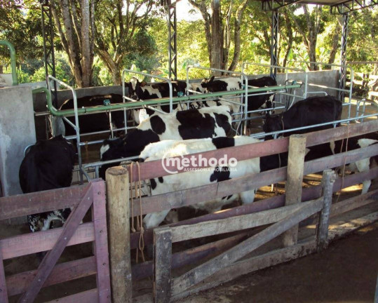 Imagem Fazenda à Venda, 11 m² em Jardim São Benedito - Alpinópolis Imagem Fazenda à Venda, 11 m² em Jardim São Benedito - Alpinópolis