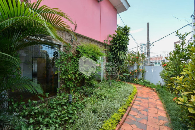 Imagem Casa com 3 Quartos à Venda, 250 m² em Jardim Da Glória - São Paulo Imagem Casa com 3 Quartos à Venda, 250 m² em Jardim Da Glória - São Paulo