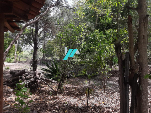 Imagem Fazenda à Venda, 5.000 m² em Zona Rural - Piracema Imagem Fazenda à Venda, 5.000 m² em Zona Rural - Piracema