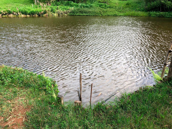 Imagem Imóvel com 2 Quartos à Venda, 1 m² em Correias (rural) - Bandeira Do Sul