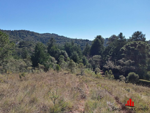 Imagem Terreno à Venda, 1.670 m² em Vale Encantado - Campos Do Jordão Imagem Terreno à Venda, 1.670 m² em Vale Encantado - Campos Do Jordão