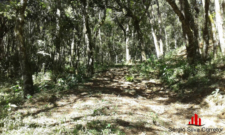 Imagem Terreno à Venda, 1 m² em Alto Do Capivari - Campos Do Jordão Imagem Terreno à Venda, 1 m² em Alto Do Capivari - Campos Do Jordão