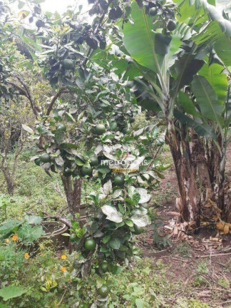Imagem Chácara com 2 Quartos à Venda, 1 m² em Estiva Do Agudos - Bragança Paulista