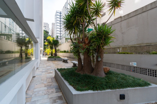 Imagem Apartamento com 3 Quartos à Venda, 105 m² em Jardim Paulista - São Paulo