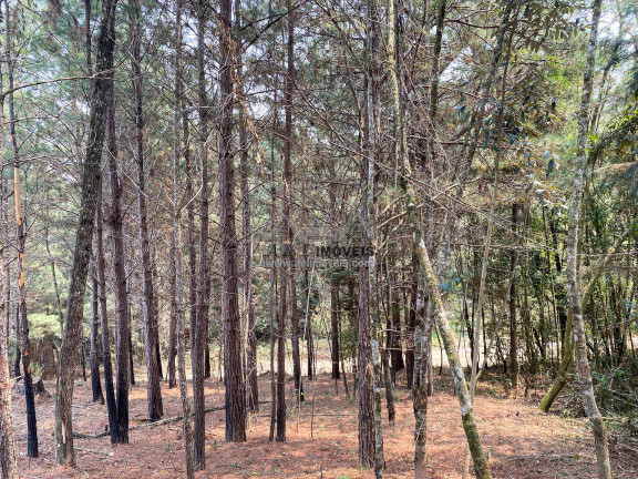 Imagem Terreno à Venda, 1 m² em Vale Encantado - Campos Do Jordão Imagem Terreno à Venda, 1 m² em Vale Encantado - Campos Do Jordão