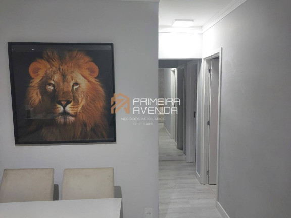 Imagem Apartamento com 3 Quartos à Venda, 63 m² em Jardim América - São José Dos Campos Imagem Apartamento com 3 Quartos à Venda, 63 m² em Jardim América - São José Dos Campos