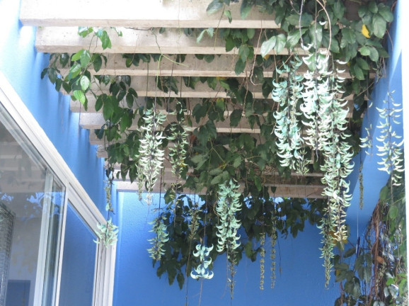 Imagem Imóvel com 3 Quartos à Venda, em Terras De Itaici - Indaiatuba Imagem Imóvel com 3 Quartos à Venda, em Terras De Itaici - Indaiatuba