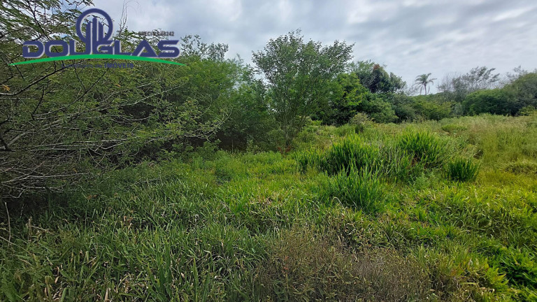 Imagem Chácara à Venda, 20.000 m² em águas Claras - Viamão Imagem Chácara à Venda, 20.000 m² em águas Claras - Viamão