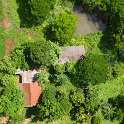 Fazenda à Venda,  em Linha Do Cerne - Sertanópolis
